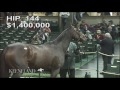 2016 November Sale – Hip 144, CELESTINE brings $2.55 million