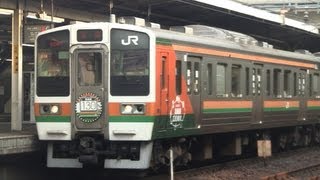 JR211系電車 「高崎線開業130周年記念」ラッピング編成 (2013.8.9)