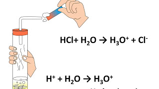 अम्ल और क्षार अभिक्रिया – भाग 4 जल  के साथ Reaction with Acid-Base with water -  Part 4 – in Hindi