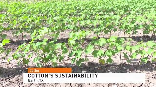 Sustainable cotton farming, how does the U.S. stack up?