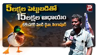 5 లక్షల పెట్టుబడి.. 15 లక్షల ఆధాయం. Duck Farming | 15 lakhs in 4 Months | karimnagar | @PeoplesMedia