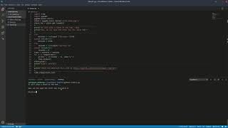 Python - Countdown Timer - V2