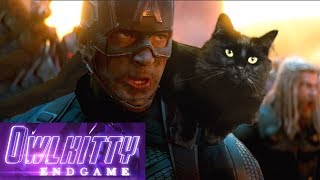 Avengers Endgame with my cat OwlKitty