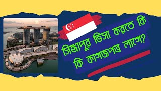 সিঙ্গাপুর  ভিসা করতে কি কি কাগজপত্র লাগে? Required Documents For Singapore Tourist Visa | SkyFlyer