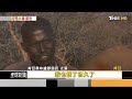 【環保氣候】三分之一冰川2050年前消失 每人每天1餐蔬食減碳2kg｜tvbs新聞 2022.11.16