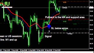 Forex Undress | Accurate Leading Indicators (Sidus Zmfx)