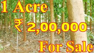 1 ఎకరం టేకు తోట మరియు భూమి అమ్మకానికి కలదు | 1Acre Take Wood Without Trees Land For Sale ₹ 2,00,000