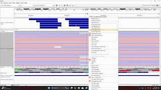 IGV Tutorial Part 4: Artifacts vs True Variants