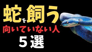 蛇を飼うのに向いていない人【５選】