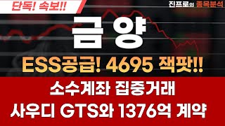 [금양] 속보! 790만주 블록딜! 4695배터리 초대형계약 '잭팟'  #금양 #금양주가전망 #금양매도가 #금양리튬광산 #대박주 #포스코홀딩스 #진프로