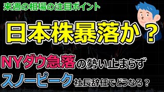 【銘柄選び】明日の日本株は暴落か？スノーピーク社長辞任で株価はどうなる？