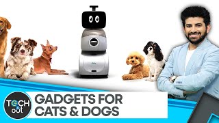 Robot companion for your pet dog | Tech It Out