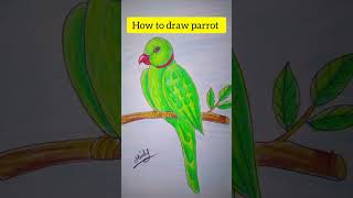 How to draw parrot 🐦 easy step by step/#hridoycbdrawingacademy #art #drawingforkids #drawingclass