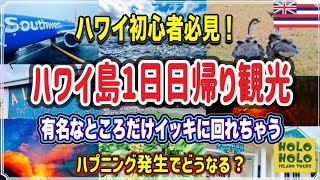 【ハワイ島初心者必見！】オアフ滞在中に行ける１日だけハワイ島を楽しめるツアー/台風接近で飛行機がキャンセル？？#ハワイ#ハワイ旅行#engsub （英語字幕付)