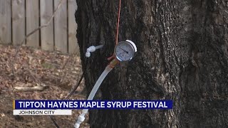 Over 1,200 pancakes flipped at Maple Syrup Festival