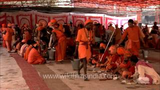 Sadhus having 'Samashti Bhandara' during Maha Shivratri