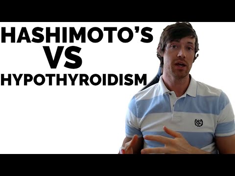 What is the difference between underactive thyroid and Hashimoto’s disease?
