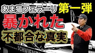 【中古車】修復歴無しなのに、修復歴有りと誤解する人が続出【風評被害】