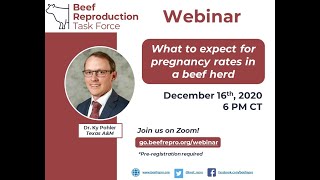 BRTF Monthly Webinar - Dr. Ky Pohler - 12/16/2020