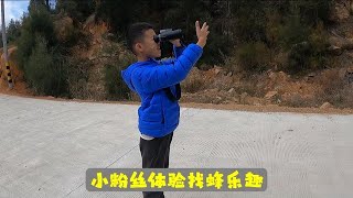 带上海小粉丝上山学习找蜜蜂，既能玩又能学习知识，长了不上见识【莆农阿敏】