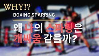 스파링 팁 #2 - 왜 나의 스파링은 개싸움같아 보일까?