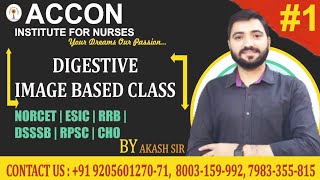 Nursing # Digestive Image Based Classes By Akash sir  # ACCON Nursing Coaching #  AIIMS # NORCET