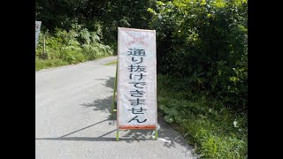 奥只見湖・大津岐川の林道①