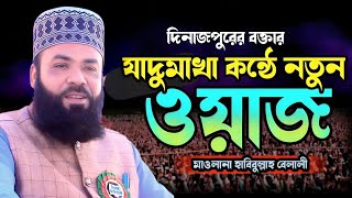 যাদুমাখা কন্ঠে নতুন ওয়াজ ২০২৫ | হযরত মাওলানা হাবিবুল্লাহ বেলালী দিনাজপুর | Maulana Habibullah Belali