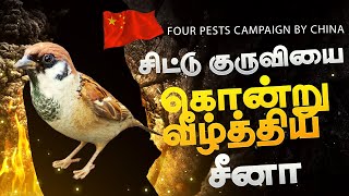 4 pests campaign china | குருவிகளை கொன்று குவித்த சீனா