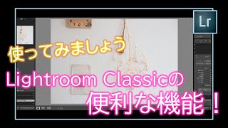 Lightroom Classicで撮影データを自動で管理！写真のセレクトもサクッとできます！