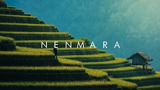 NENMARA | PALAKKAD NATURE