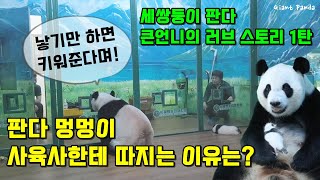 기차 타는 판다 세쌍둥이의 또 다른 이야기🐼첫째 멍멍의 2세 만들기 1탄 (feat.진후 의문의 1패)