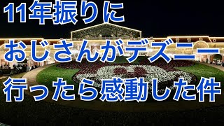 11年振りにネズミ公国行ったら感激したおじさん。【エレクトリカルパレード】