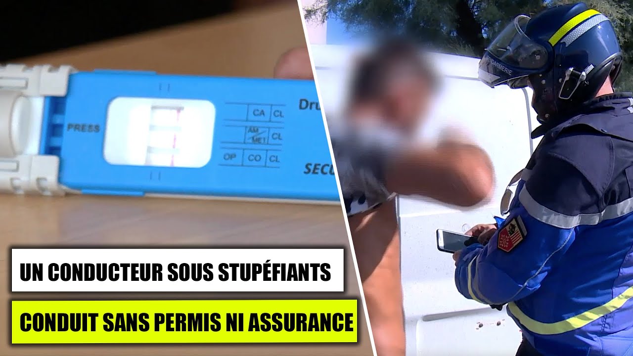 Un Conducteur Sous Stupéfiants Conduit Sans Permis Ni Assurance - YouTube