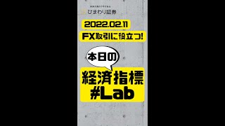 FX取引に役立つ！【経済指標Lab】今夜の注目は0時「米ミシガン大学消費者態度指数」【ひまわり証券】1分解説 2022年2月11日 #Shorts