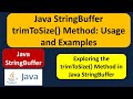 Java StringBuffer trimToSize() Method: Usage and Examples | Java Tutorial