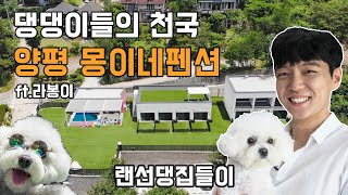 [랜선집들이] 경기도 양평 110평형 애견펜션 '큐브형 외관이 돋보이는 댕댕이들의 천국 양평 몽이네펜션'  / 더존하우징 전원주택 DUJON L314