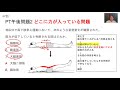 【実地対策その⑨】筋力低下している筋を見極める！｜理学療法士作業療法士国家試験塾 鰐部ゼミナール