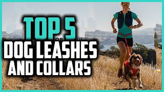 ✅Top 5 Best dog leashes and collars in 2024