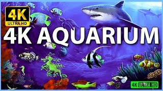 The Best Aquarium in '4K Video Ultra HDR' 60fps with Relaxing Music || Meditation 4K UHD Screensaver