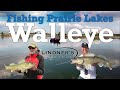 Fishing Prairie Lakes Walleye (Hair Jigs)!