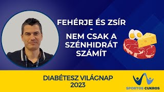 Dr. Svébis Márk: Fehérje és zsír - nem csak a szénhidrát számít!