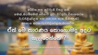 අටවන සහ නවවැනි වසල ගති.