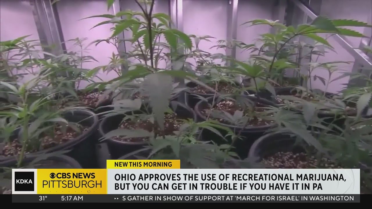 Ohio Has Approved Recreational Marijuana Use, But You Can Still Get In ...