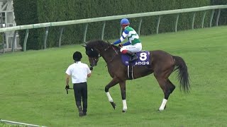 華麗なステップを披露するメイケイエール 池添謙一【スプリンターズS 2023 返し馬】