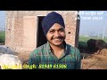 14 15ਲੀਟਰ ਵਾਲੀਆ 2 ਸੂਈਆ ਵੈੜਆ ਵੀਕਾਓ। cows for sale vadiya farm 25 2 23