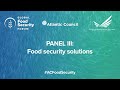 Panel III: Food security solutions