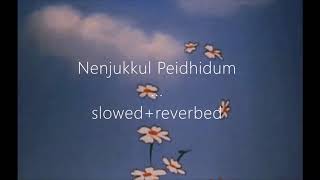 nenjukkul peidhidum (slowed+reverbed) l english translation