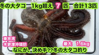 冬の1.6kg大タコ連発‼️1キロ超えが7杯　合計13杯　何が決め手⁉️東京湾　木更津沖堤防　タコ釣り　船釣りタコの釣り方　ヤマハfast23