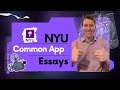 NYU 2024 Common App Essay #nyu #commonapp #collegeadmissions #essay